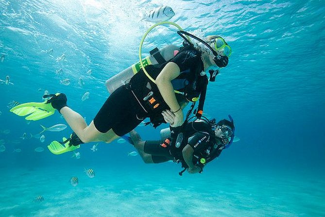Discover Scuba Diving with two dives in the Ocean in Tenerife with Transfers - Key highlights worth getting excited about
