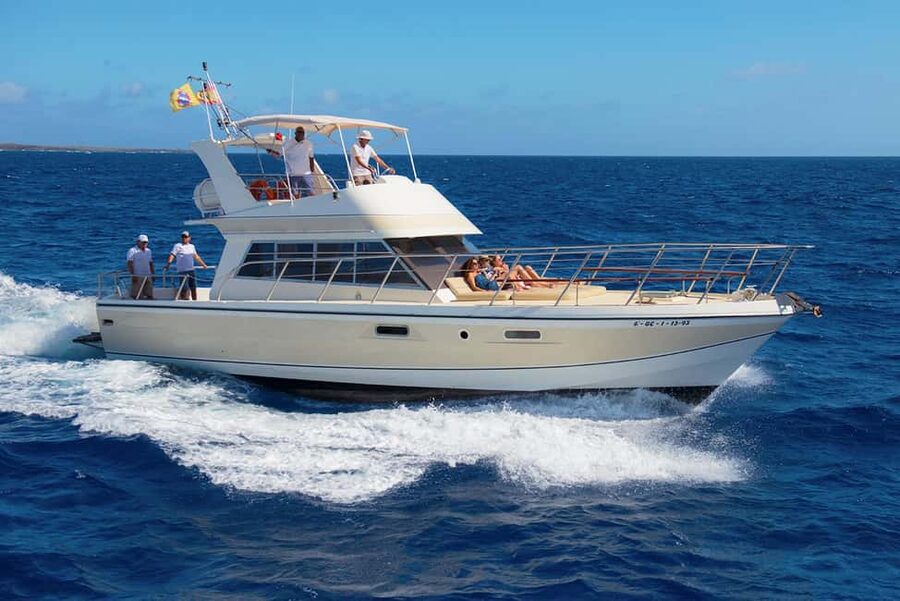 Discover whales in Tenerife: exclusive yacht tour with swim and lunch - Key things I’d zero in on