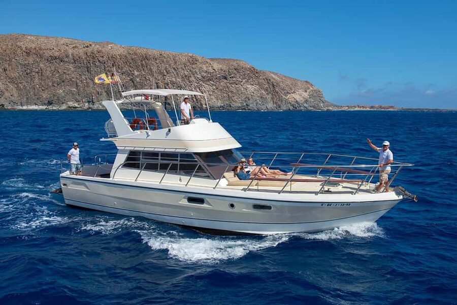 Discover whales in Tenerife: exclusive yacht tour with swim and lunch - Neptune yacht: small-group comfort that actually matters