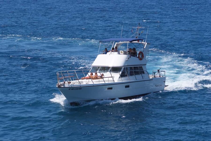 Discover whales in Tenerife: exclusive yacht tour with swim and lunch - The swim stop in a sheltered bay: best time to cool off