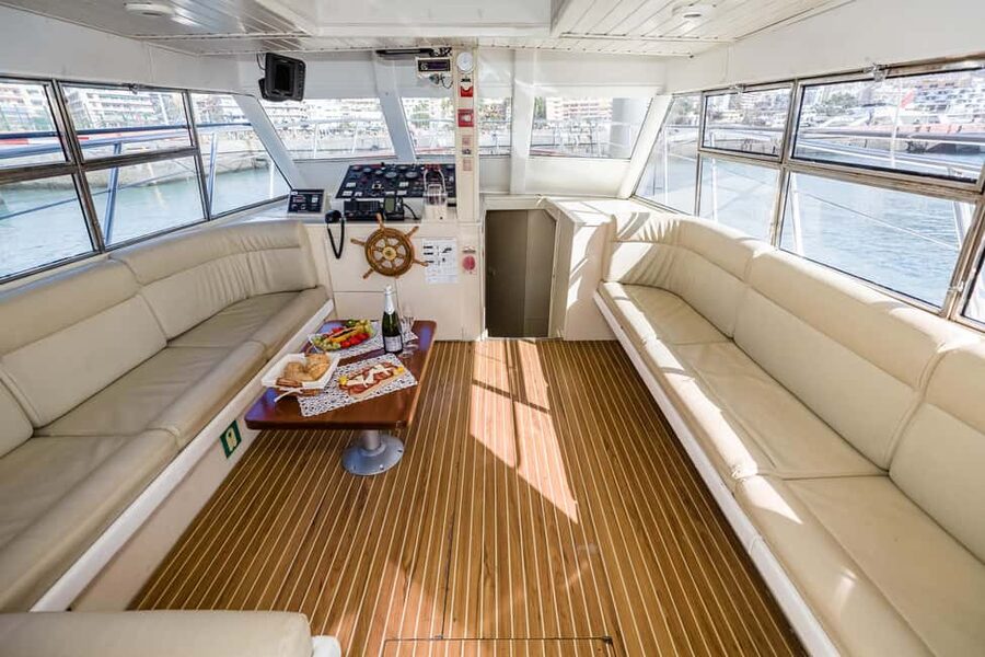 Discover whales in Tenerife: exclusive yacht tour with swim and lunch - Price and timing: does $68 feel fair for what you get?
