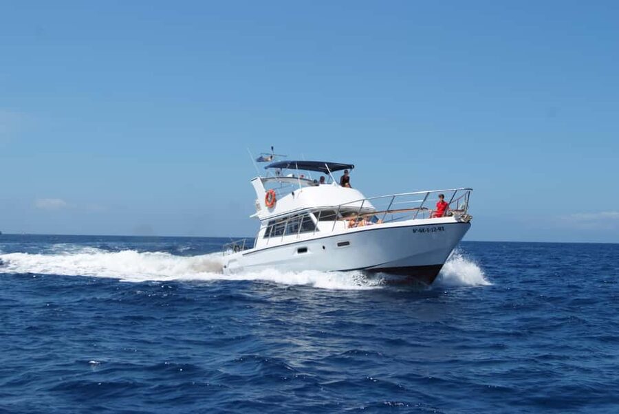 Discover whales in Tenerife: exclusive yacht tour with swim and lunch - Should you book this Neptune whale watching tour?