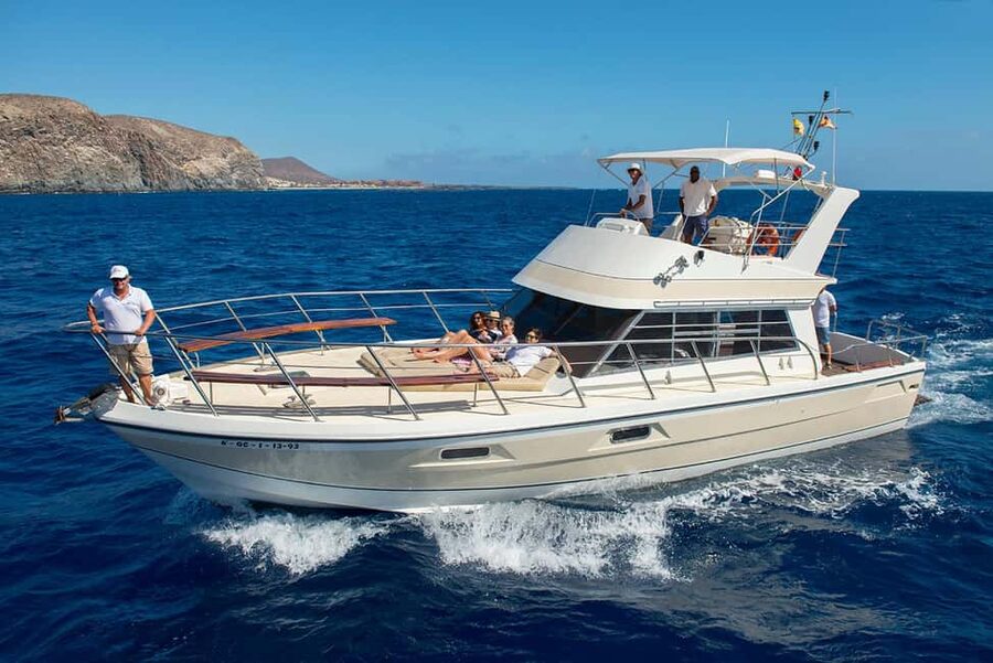 Discover whales in Tenerife: exclusive yacht tour with swim and lunch - Responsible whale watching with the Blue Flag