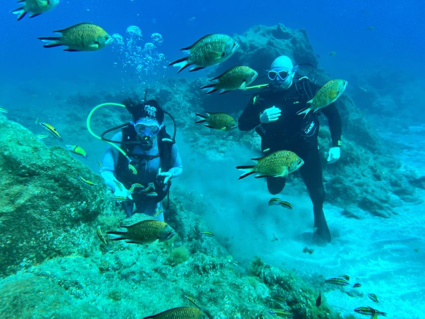 Diving course for beginners in turtle area Tenerife - Where You Meet at Abades and How the 3 Hours Really Flow