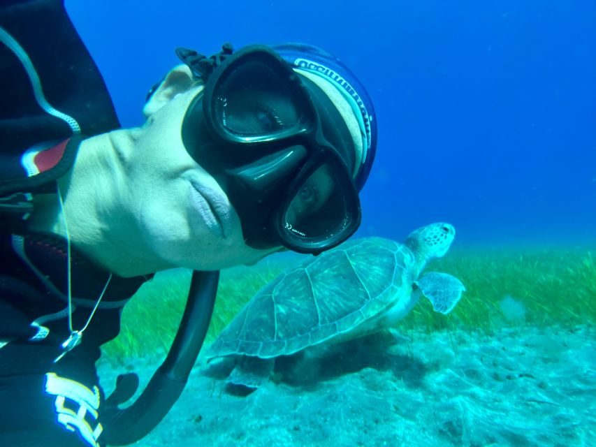 Diving course for beginners in turtle area Tenerife - The Protected Marine Area, Fish, and the Turtle Chance