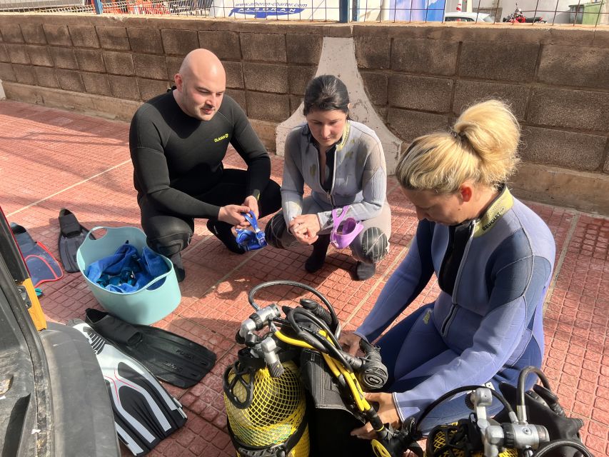 Diving course for beginners in turtle area Tenerife - After-Session Rules That Affect Your Tenerife Day