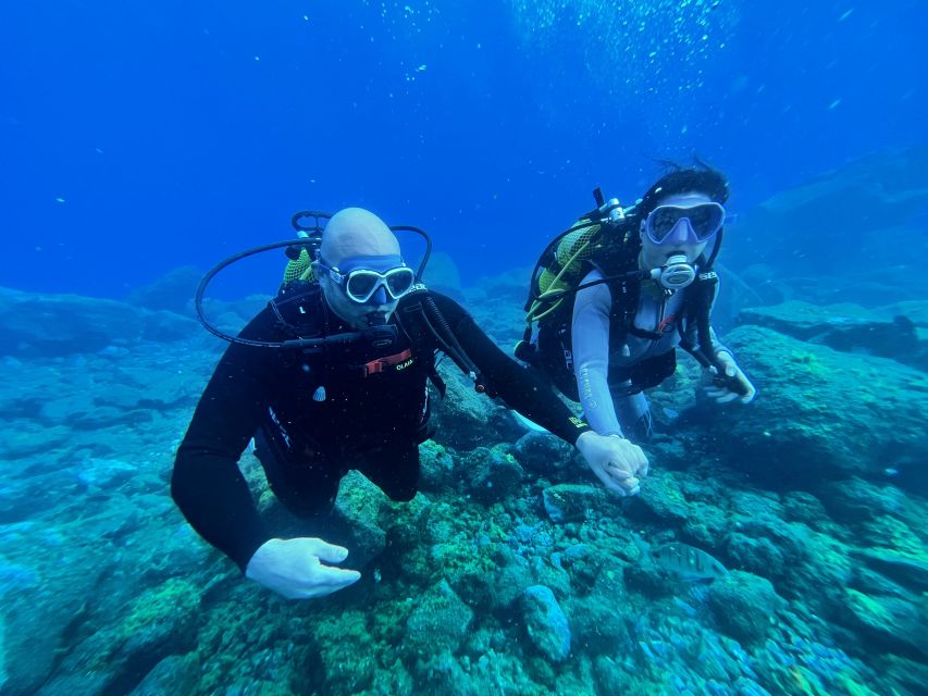 Diving course for beginners in turtle area Tenerife - The Beginner Course Built for First-Time Underwater Breathing