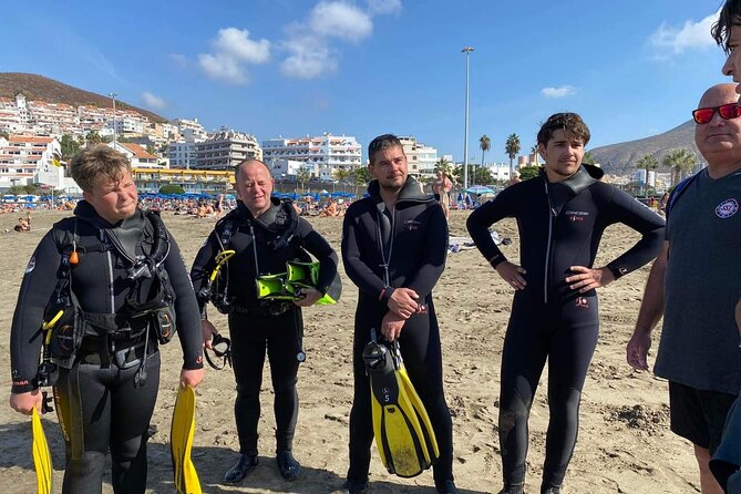 Diving in Los Cristianos, Tenerife - The van transfer to Playa Las Vistas and why the beach matters