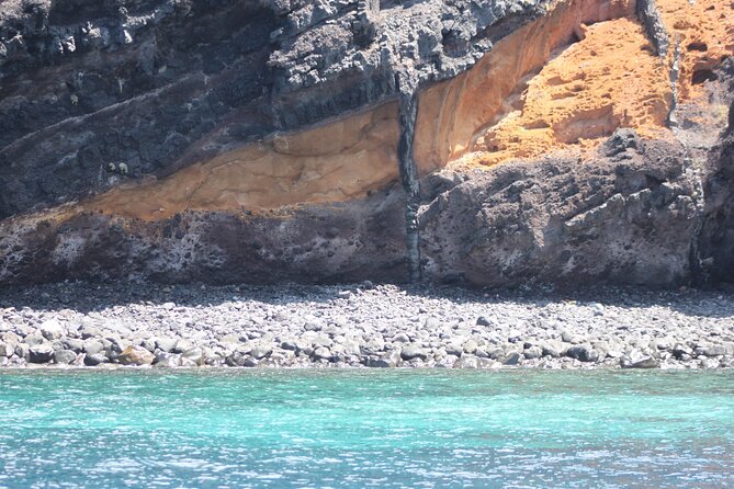 Dolphin and Whale Sailing Tour in Los Gigantes - The 3-hour flow: sailing, scanning, and finding the right pocket of sea