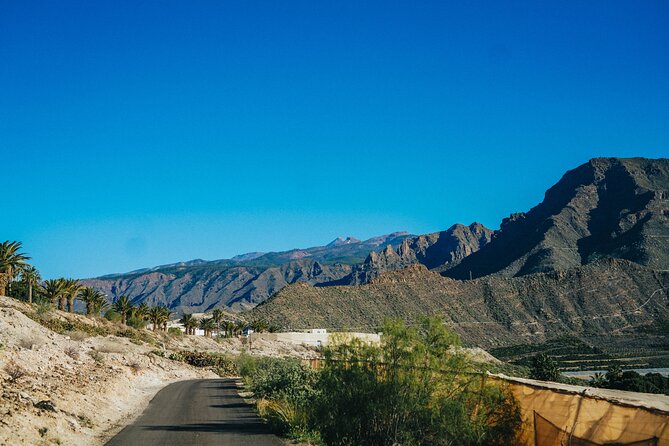 Double Tuk Tuk Tour in Costa Adeje - Over Aqualand and into viewpoints you might miss on your own