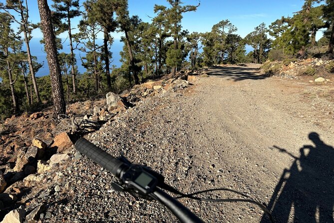 E-bike Ride at Chinyero Natural Reserve - on premium bikes - Riding into the pine forest edge: the trail gets real