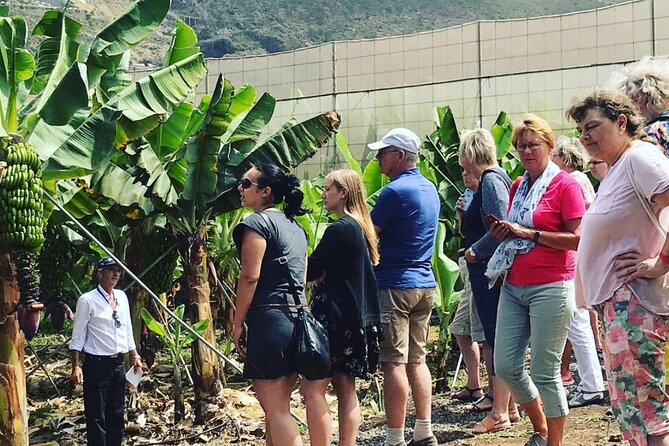 Eco banana farm Tour - Sustainable Farming Lessons You’ll Remember on the Road