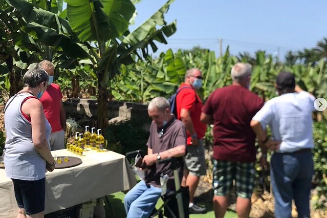 Eco banana farm Tour - Who Should Book This Eco Banana Farm Tour, and Who Might Skip It