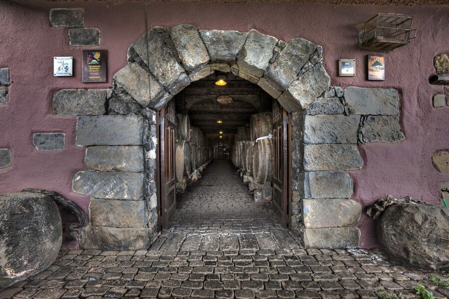 El Sauzal: Winery Tour and Mojo Sauce Workshop - Key things to know before you go