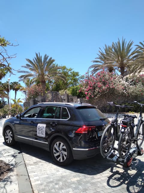 Electric City Bike Rental with Hotel Delivery - Who should book this e-bike rental in Tenerife South