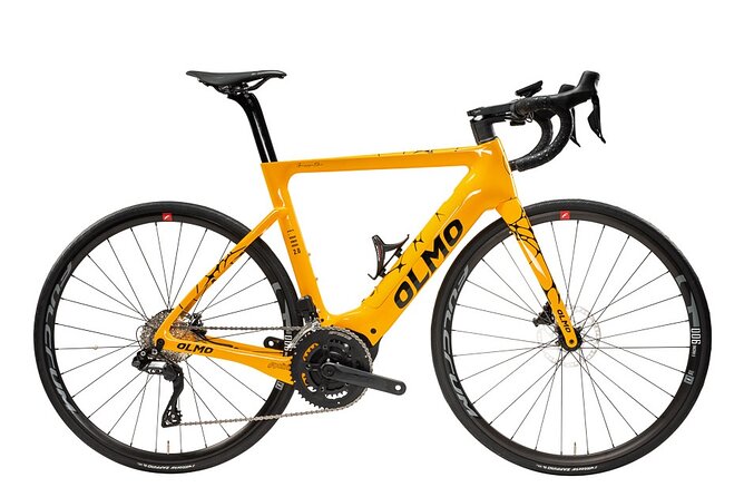 Electric Olmo E-bro 2.0 E-race Bike 500W Rental in Tenerife - Key highlights you will actually feel