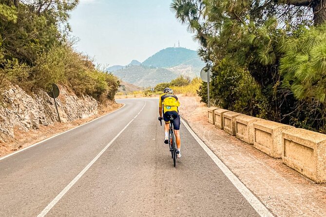 Electric Olmo E-bro 2.0 E-race Bike 500W Rental in Tenerife - What the “e-race performance” style changes for you
