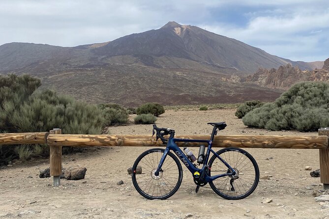 Electric Olmo E-bro 2.0 E-race Bike 500W Rental in Tenerife - Value check: is $77.82 worth your day