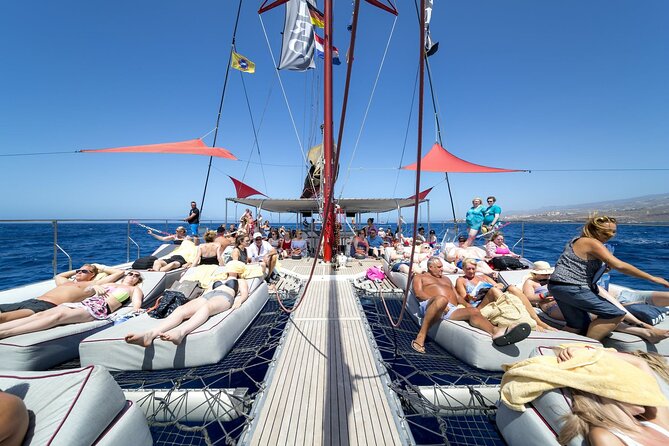 Exclusive Freebird Catamaran Whale and Dolphin Cruise to Caleta - Tenerife by sea: why this cruise is a smart 3-hour pick