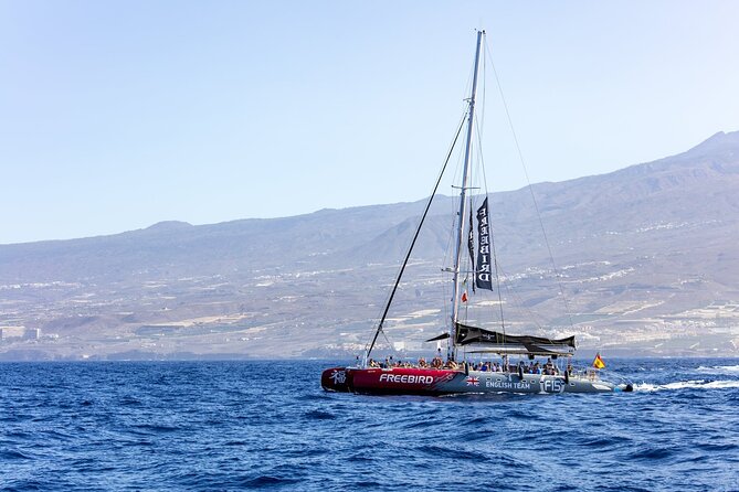 Exclusive Freebird Catamaran Whale and Dolphin Cruise to Caleta - Timing and logistics: start at 9:40 am, cruise about three hours