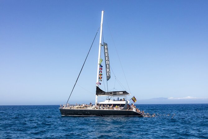 Exclusive Freebird Catamaran Whale & Dolphin to Masca From South - Sailing From Porto Colon Toward Los Gigantes, Views You Can Feel