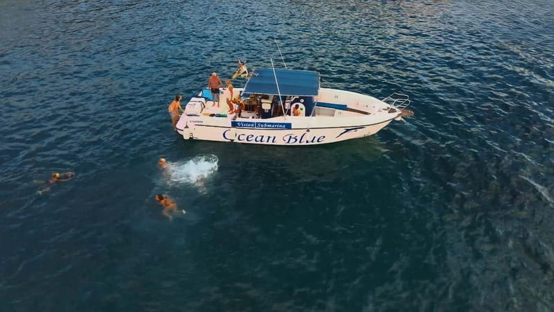 Excursion to see the whales - 3 Hours - Where this Tenerife whale watching starts, and why timing matters