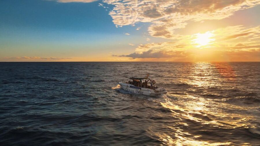 Excursion to see the whales - 3 Hours - Underwater viewing with glass-bottom visuals