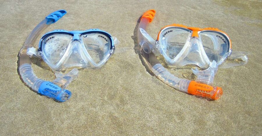 Explore Tenerife with the Snorkel Kit - Wildlife Etiquette That Makes the Experience Better