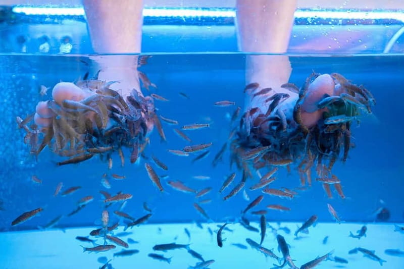 Fish Spa Experience Playa Fañabe - Key things I’d clock before you go