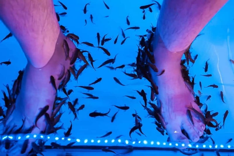 Fish Spa Experience Playa Fañabe - Price and value: why $9 can still feel like good money
