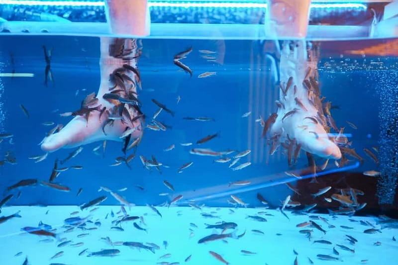 Fish Spa Experience Playa Fañabe - Finding the right local fast at Centro Comercial Litoral Fañabé