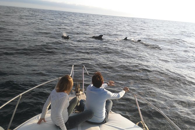 Fishing trip, Tenerife Sea Passion - Captain guidance and the small-group difference (max 11)