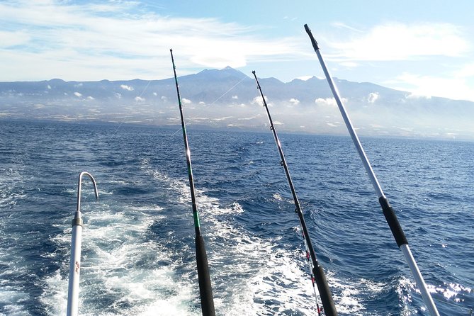 Fishing trip, Tenerife Sea Passion - The most praised parts: when the stars align