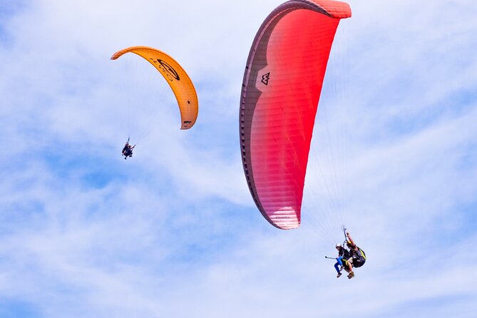 FlyTenerife Paragliding Flight - Key highlights you’ll care about