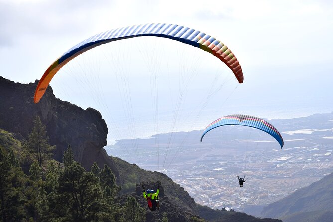 FlyTenerife Paragliding Flight - Price and Value: Is $132.75 Worth It?