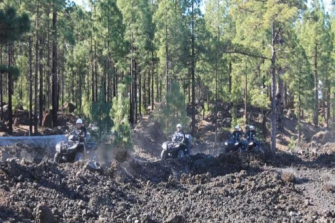 Forest Quad Trip with Hotel Pickup - Climbing to the Teide crater edge around 2,000 metres