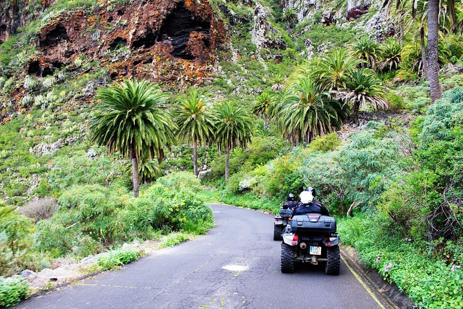 Forest Quad Trip with Hotel Pickup - The included lunch, snacks, and drinks are part of the value