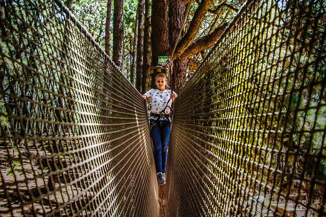 Forestal Park Tenerife Entrance Ticket - Getting there at Las Lagunetas (and what to bring)