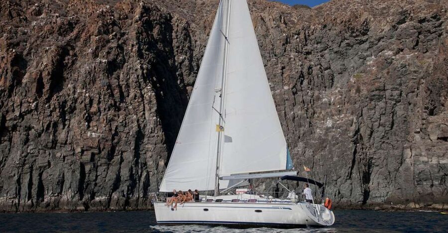 From Los Gigantes: Whale Watching Sailboat Cruise - Key Highlights You Should Care About
