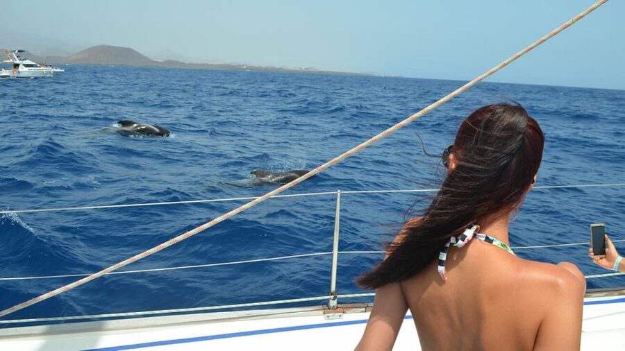 From Los Gigantes: Whale Watching Sailboat Cruise - Tapas Onboard: The Meal That Turns It From a Trip Into a Day