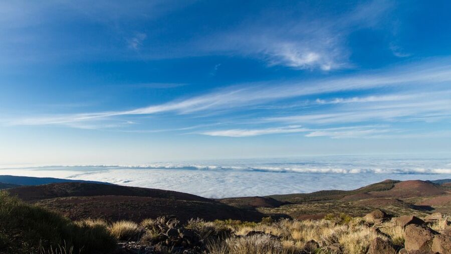 From Playa de las Américas: Full-Day Teide Jeep Safari - Key highlights to know before you go