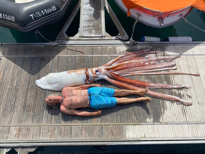From Playa San Juan: Whale Watching, Gigantes, and Masca Bay - On-board comfort, safety, and how the captain guides your day