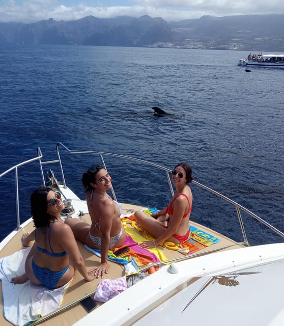 From Playa San Juan: Whale Watching, Gigantes, and Masca Bay - Who this tour suits best, and who should choose something else