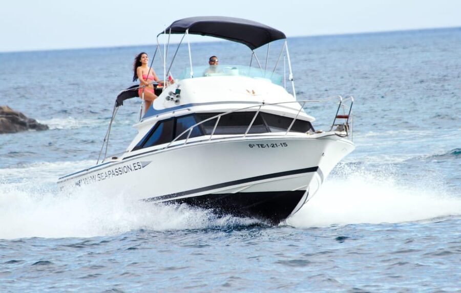 From Playa San Juan: Whale Watching, Gigantes, and Masca Bay - Masca Cove swim and snorkeling: your break from the search