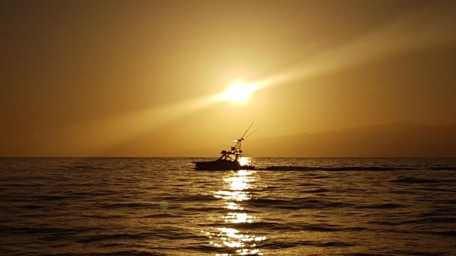From Puerto Colón: Private Fishing Boat Charter with Lunch - Why Tenerife’s South Coast feels made for fishing