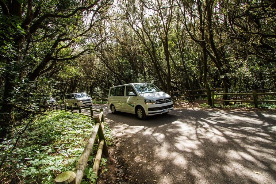 From Puerto de La Cruz: Full-Day Vip Tour to Gomera - The whistling language and the New World bridge story, made useful