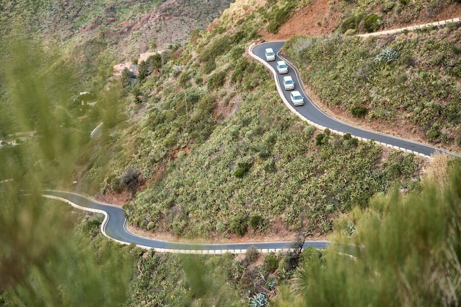 From Puerto de La Cruz: Full-Day Vip Tour to Gomera - Price and value: what $205 really covers for a full 10-hour day
