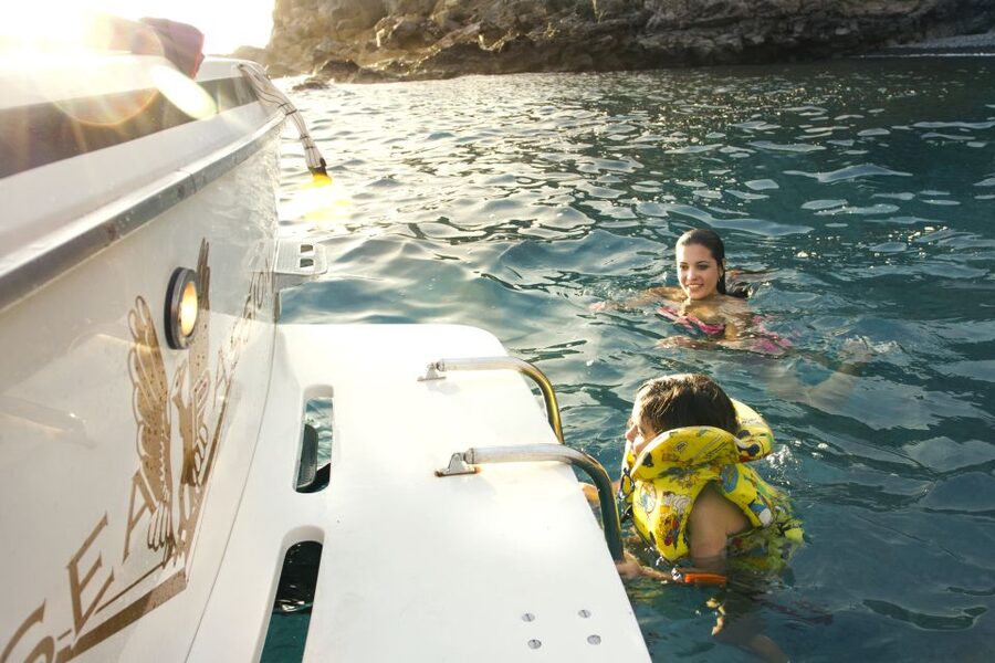 From San Juan beach : Marine Life Cruise - What You Can Expect to See: Whales, Dolphins, and Other Signs