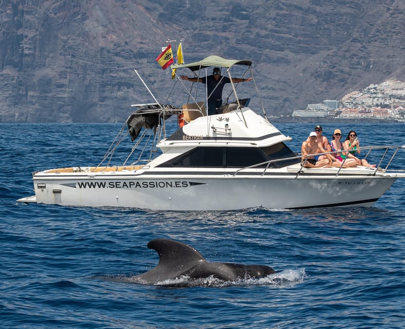 From San Juan beach : Marine Life Cruise - Onboard Learning With a Captain Who Talks Like a Pro