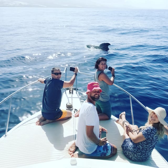 From San Juan beach : Marine Life Cruise - Snorkeling Masks, Swimming Chances, and Weather Reality